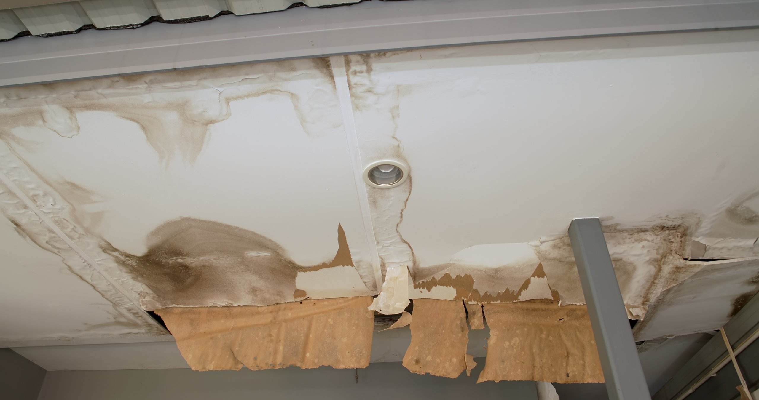 Ceiling with water damage and fungus