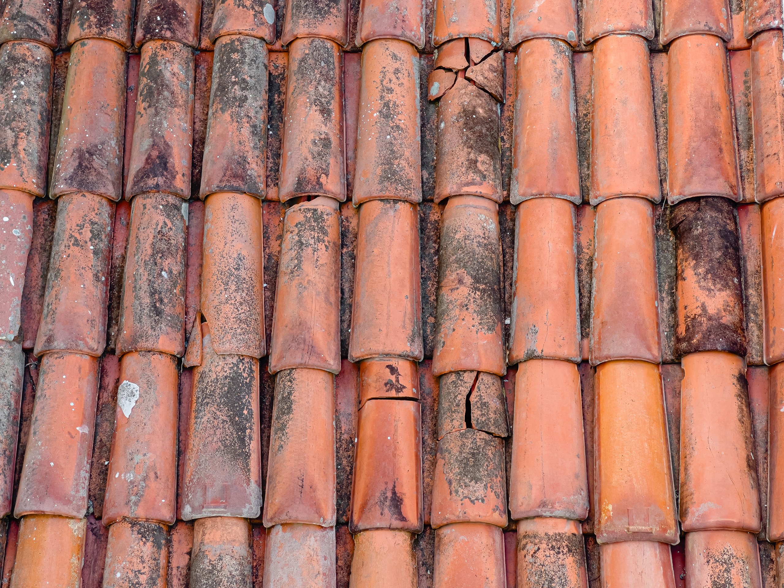 Roof with moss and weathering damage