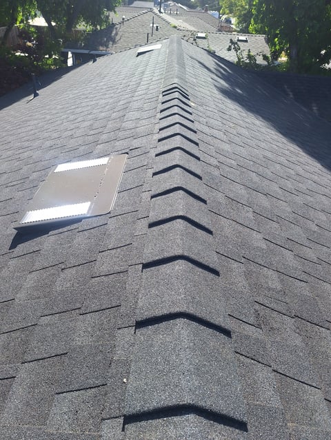 Aerial view of asphalt shingle roof with ridge vents and two rectangular skylights, residential neighborhood visible