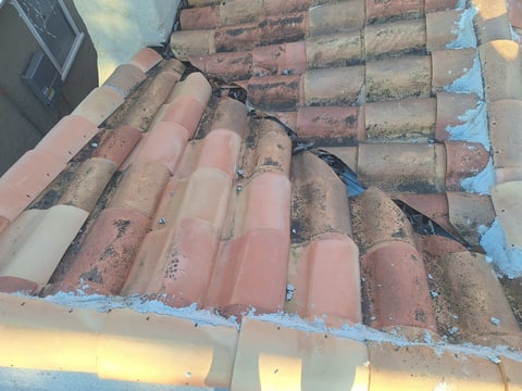 Angled view of weathered terracotta roof tiles with peeling blue paint and moss growth, showing roof deterioration and wear